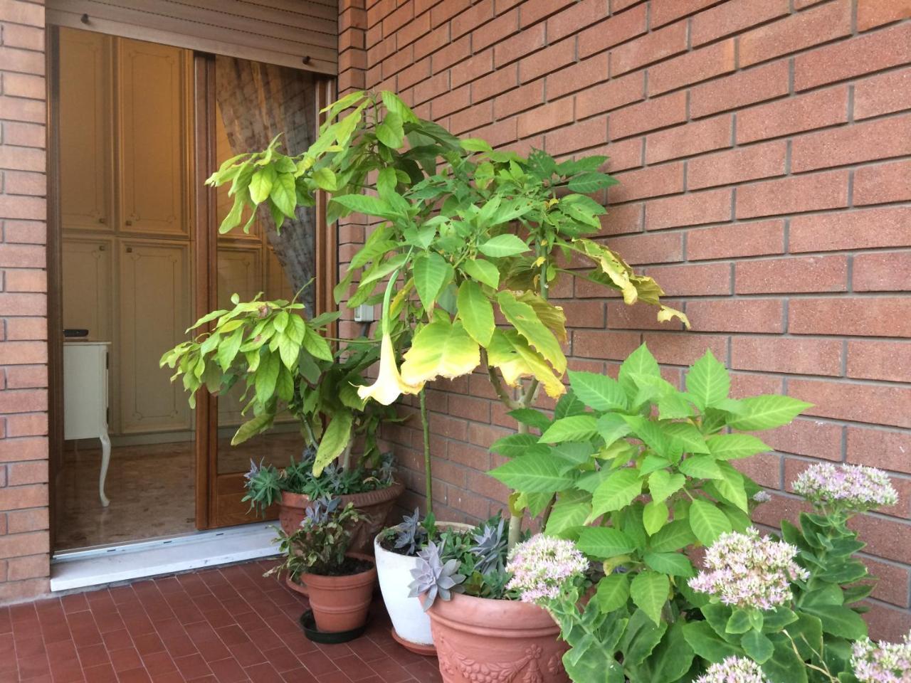 B&B Pergolesi Verona Luaran gambar